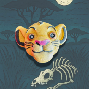 Petit enchantement ( Simba )