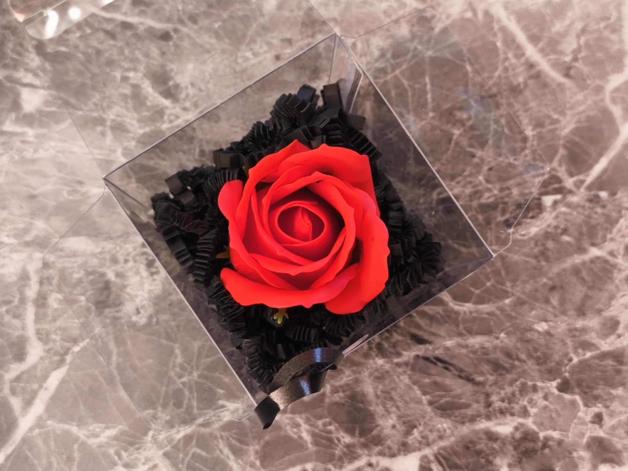 Les Roses de l’Au-delà ( Sang Éternelle ) – Image 4