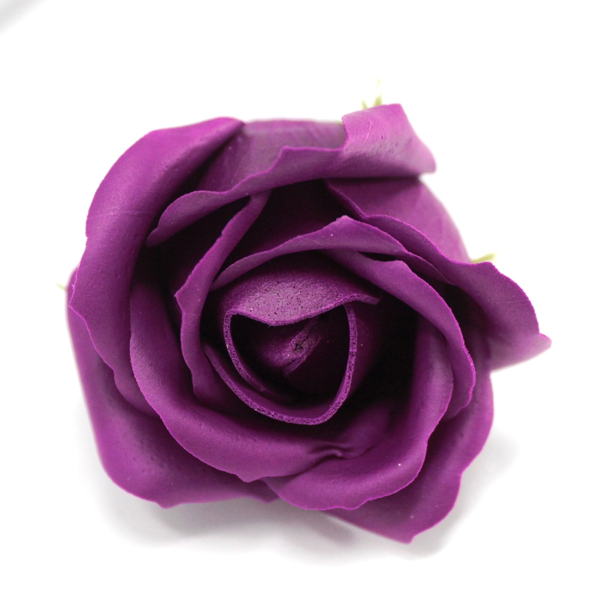 Les Roses de l’Au-delà ( Âme Pourpre ) – Image 2