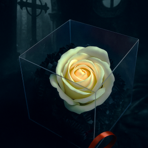 Les Roses de l’Au-delà ( Baiser des Neiges )