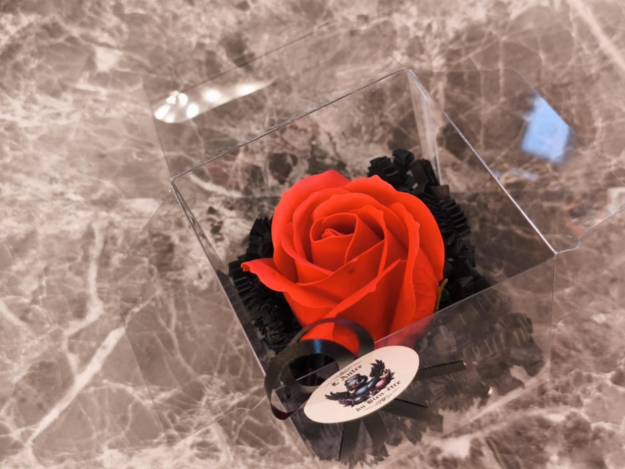 Les Roses de l’Au-delà ( Sang Éternelle ) – Image 3